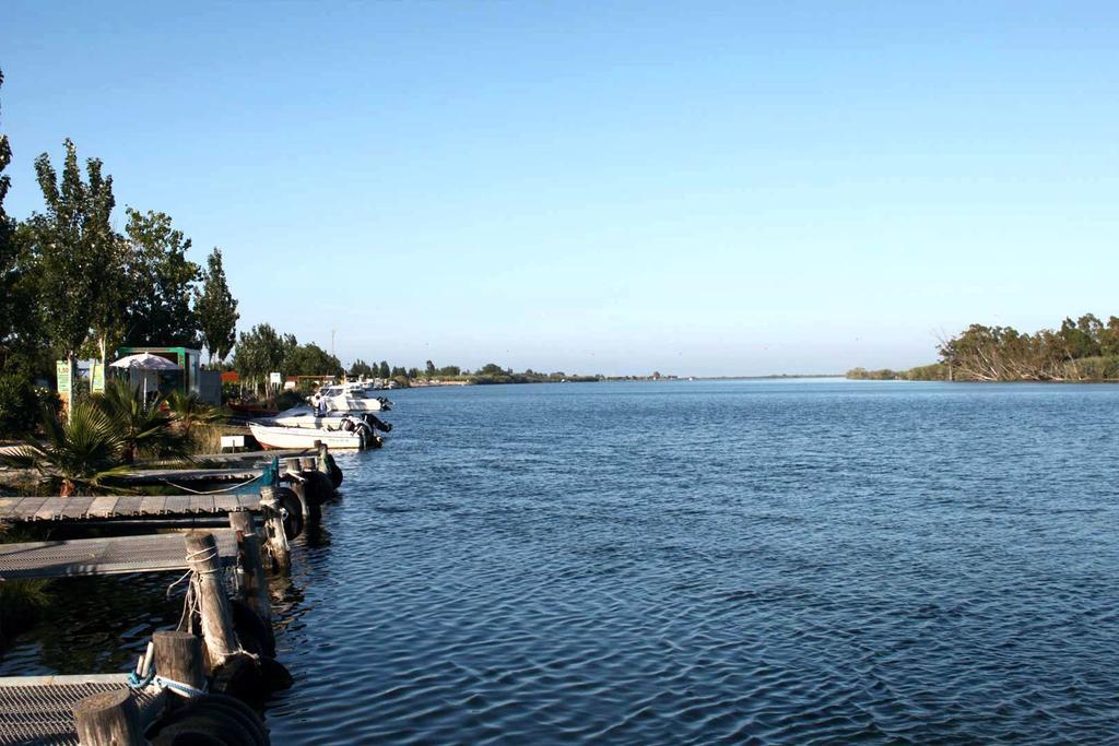 Mi En El Delta Del Ebro *